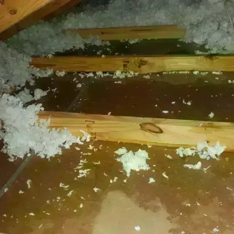 Attic Water Damage in Worcester, MA