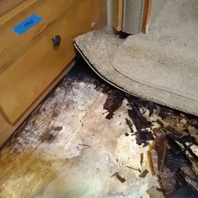 Best Wood Floor Water Damage Service in Worcester, MA